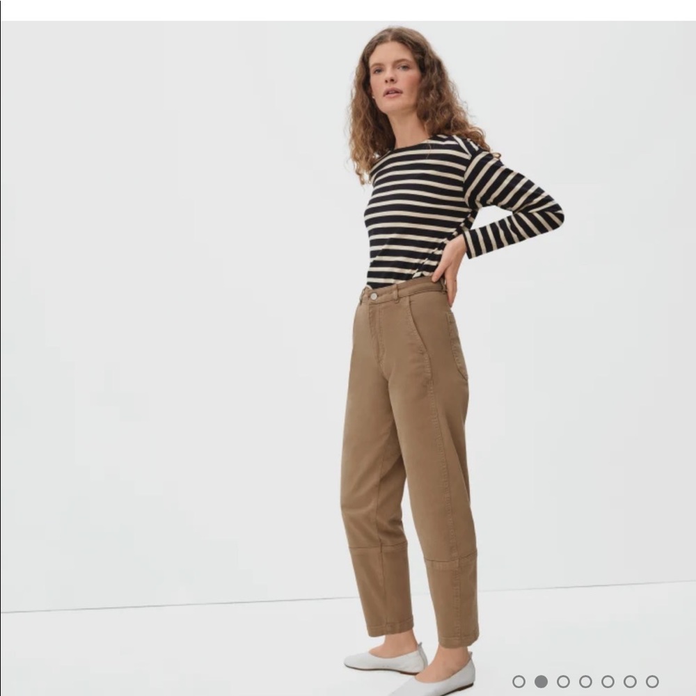 EVERLANE UTILITY BARREL PANT SZ 2